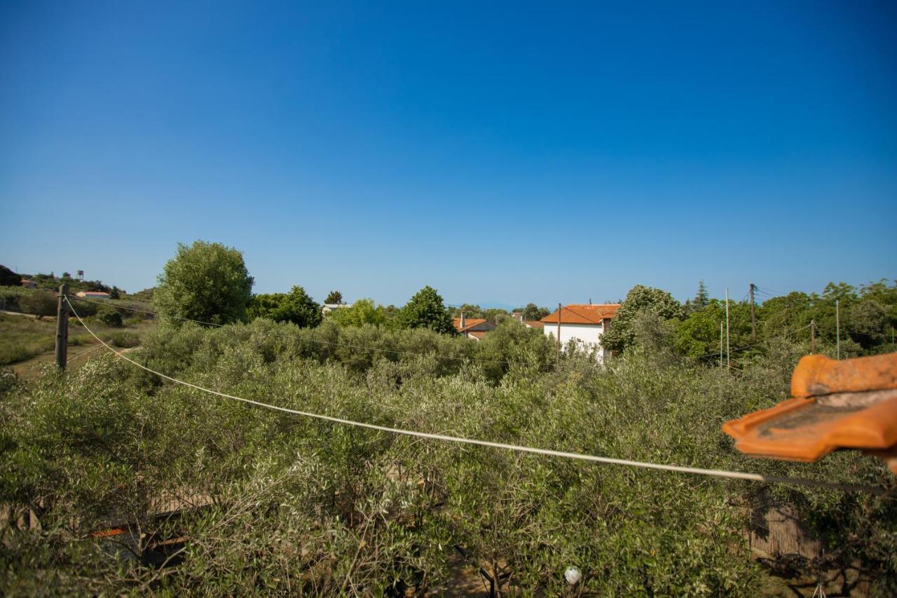 Villa Vergia Sozopoli Eksteriør billede